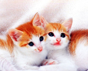 RC Chalk Helicopter plus 8 Washable Chalk Markers